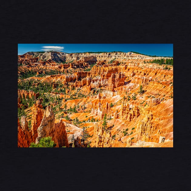 Bryce Canyon National Park by Gestalt Imagery